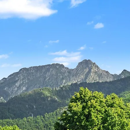Widokowe Pod Lasem Apartman