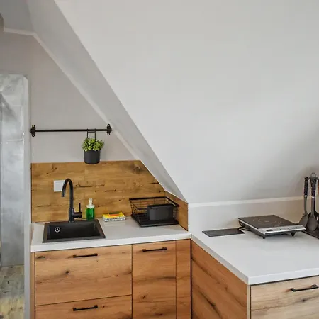 Apartman Widokowe Pod Lasem Kościelisko